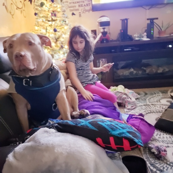 Meet your Posher, Christopher - Picture 3 of 6